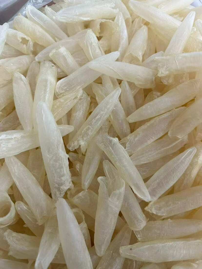 鱼胶花胶白花胶白花筒一手货源