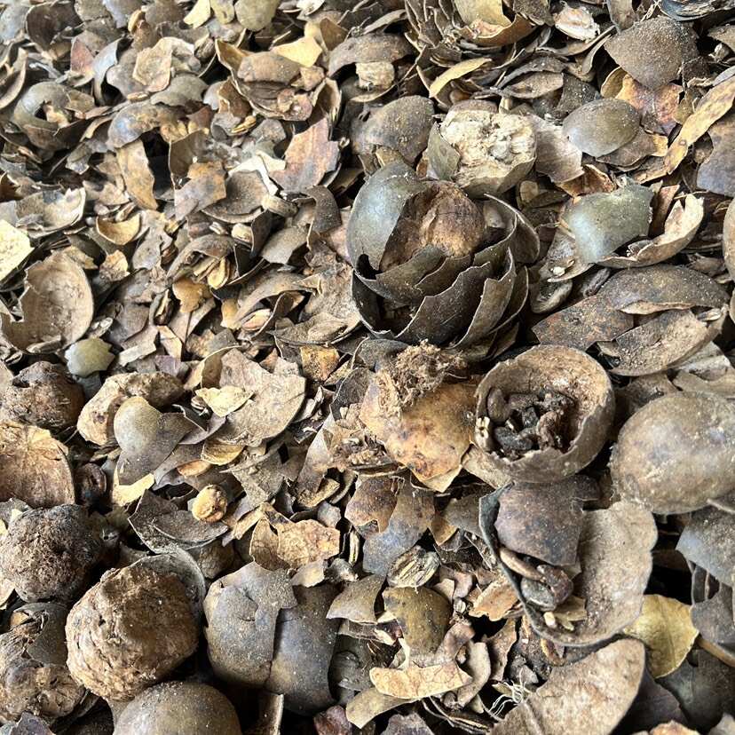 罗汉果碎 果皮罗汉果代打粉 破果