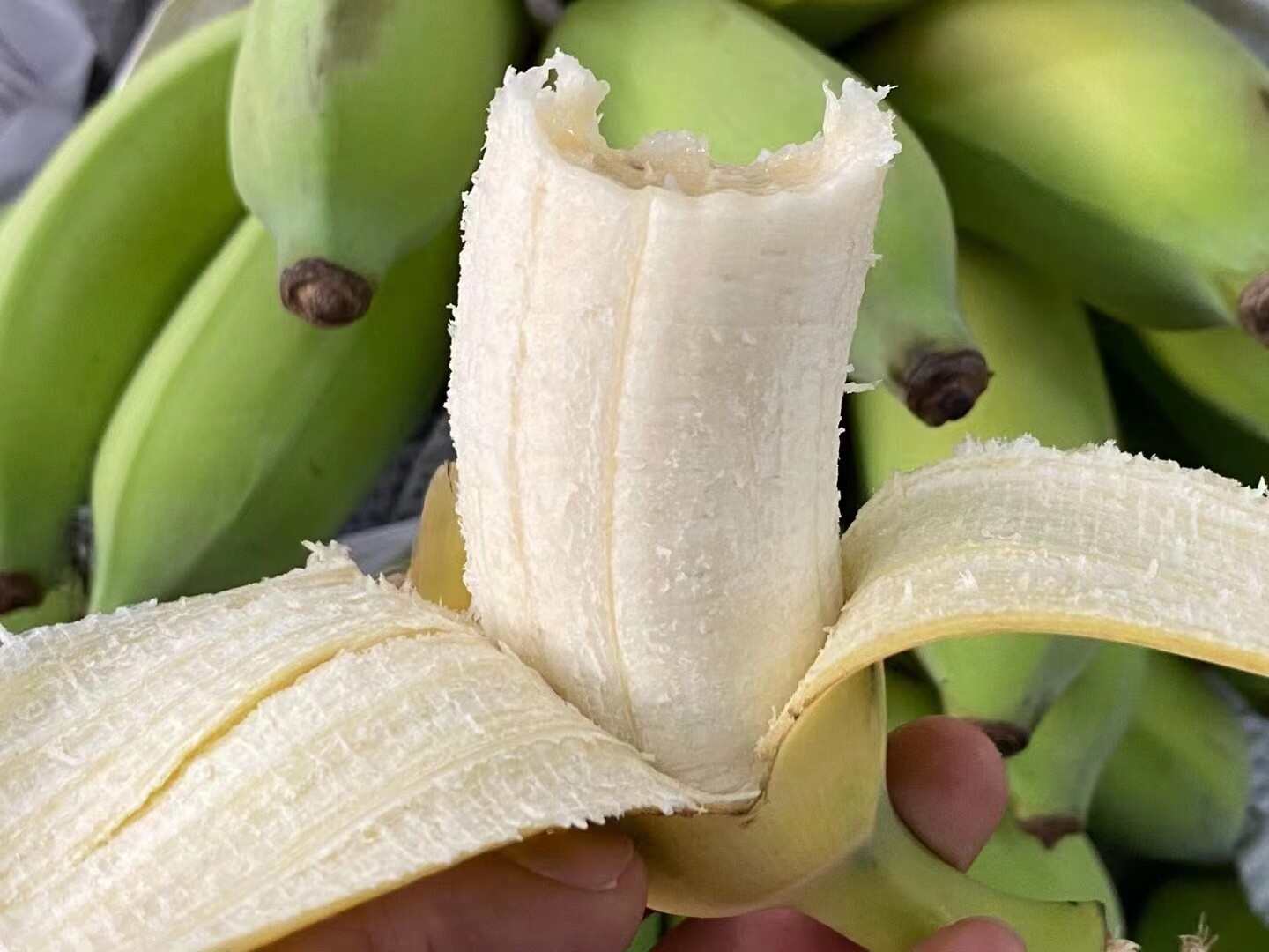 【海南芭蕉】海南五指山野生海南野生芭蕉新鲜直采