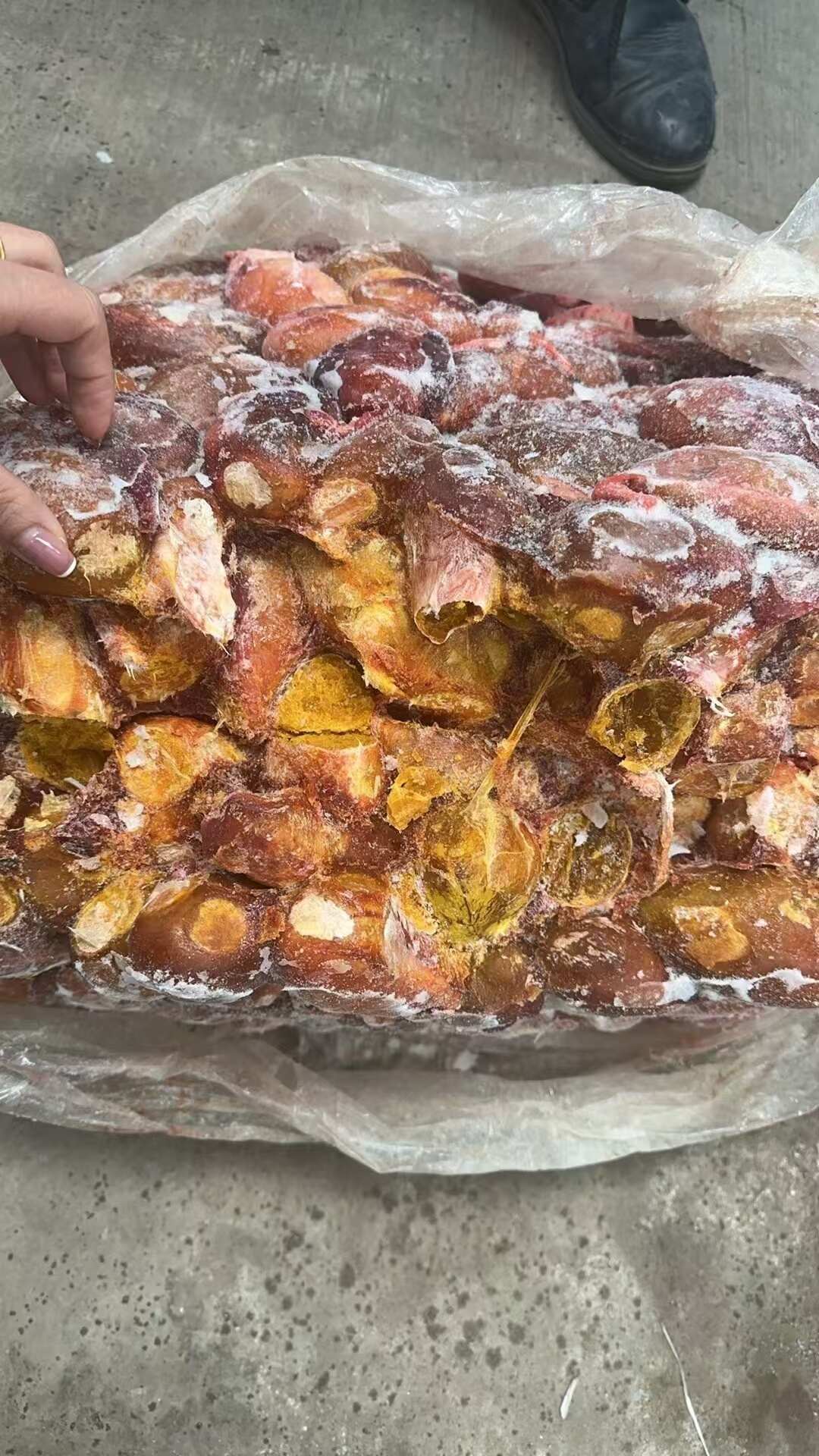 猪苦胆，物美价优，欢迎咨询