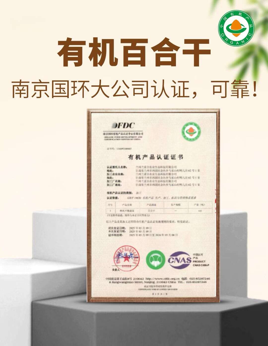 兰州百合甘肃特产正宗兰州甜百合无硫原产地直发净皮