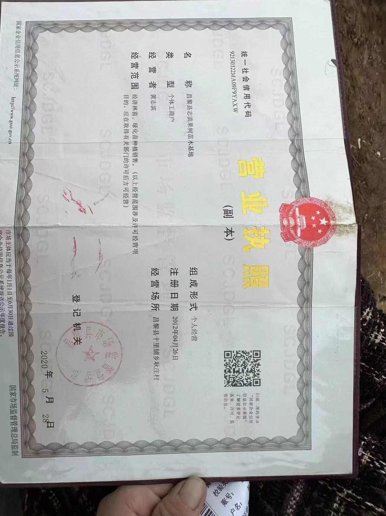 阳光玫瑰葡萄，保纯度质量，基地直发，顺丰快递包邮，假一赔十