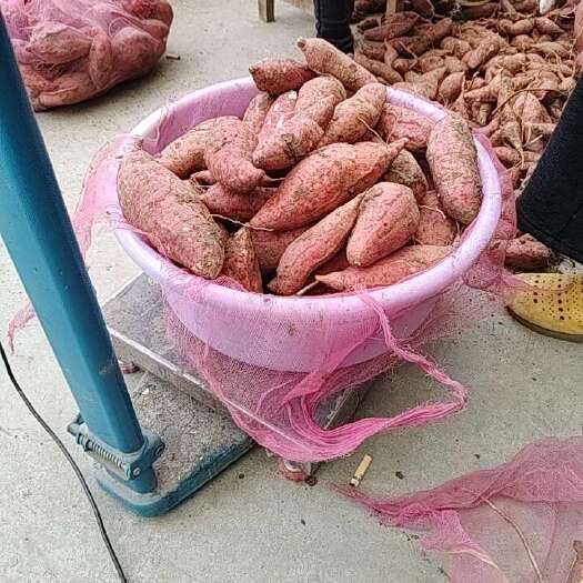 临泉县西瓜红，红心香甜