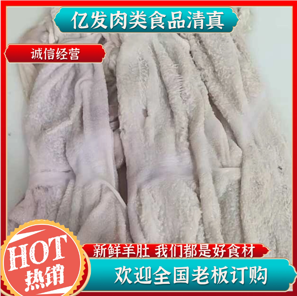 精品纯净肚 羊肚 退肚毛的免洗  里外干净