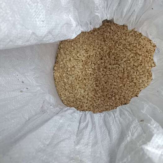 重庆市重庆梁平产冬瓜子 农副加工干果原料