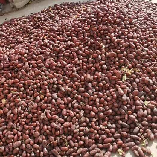 【新疆产地直发】农家自种 灰枣骏枣通货