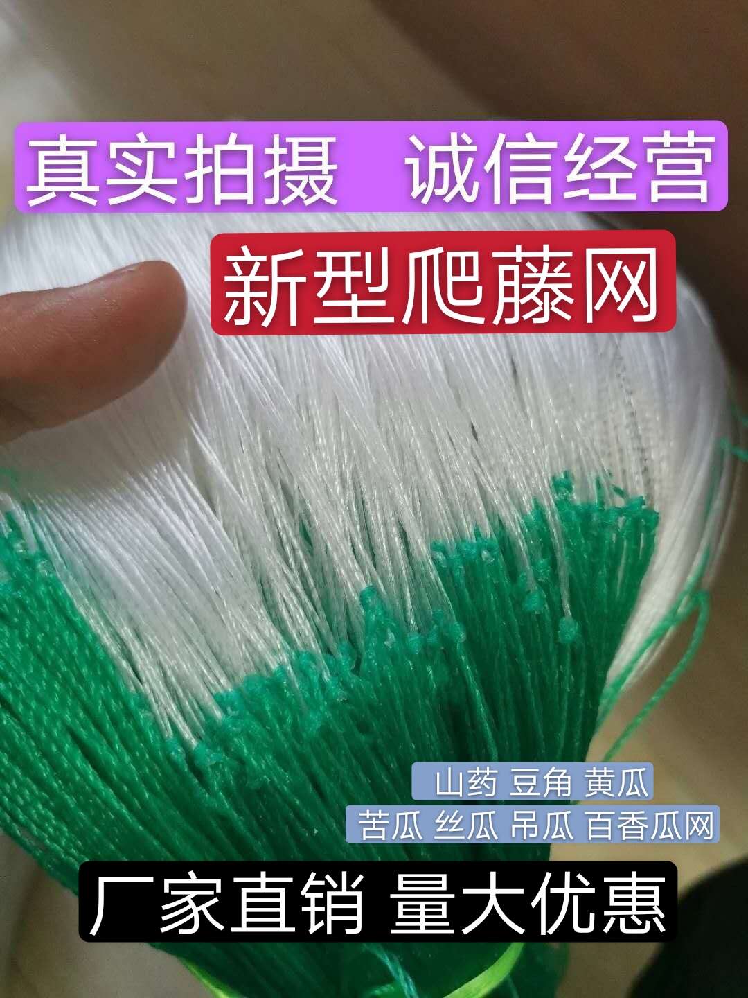 【粗六股爬藤网】黄瓜苦瓜丝瓜网植物爬藤网农业种植网植物攀爬网