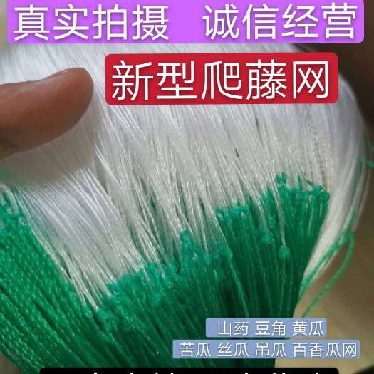 无棣县【粗六股爬藤网】黄瓜苦瓜丝瓜网植物爬藤网农业种植网植物攀爬网