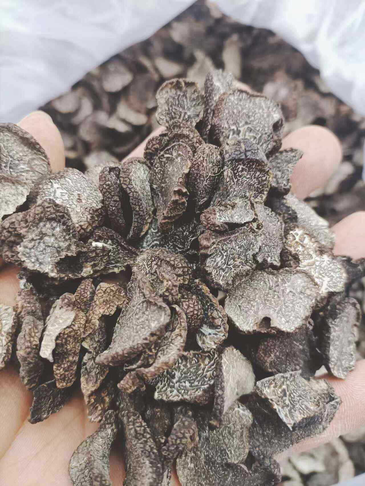 黑松露 黑松露干 黑松露干片 松露
