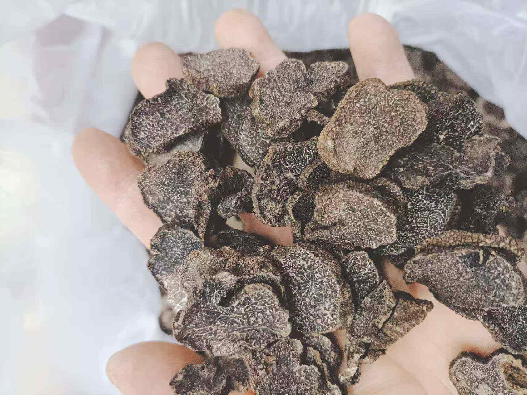 黑松露 黑松露干 黑松露干片 松露