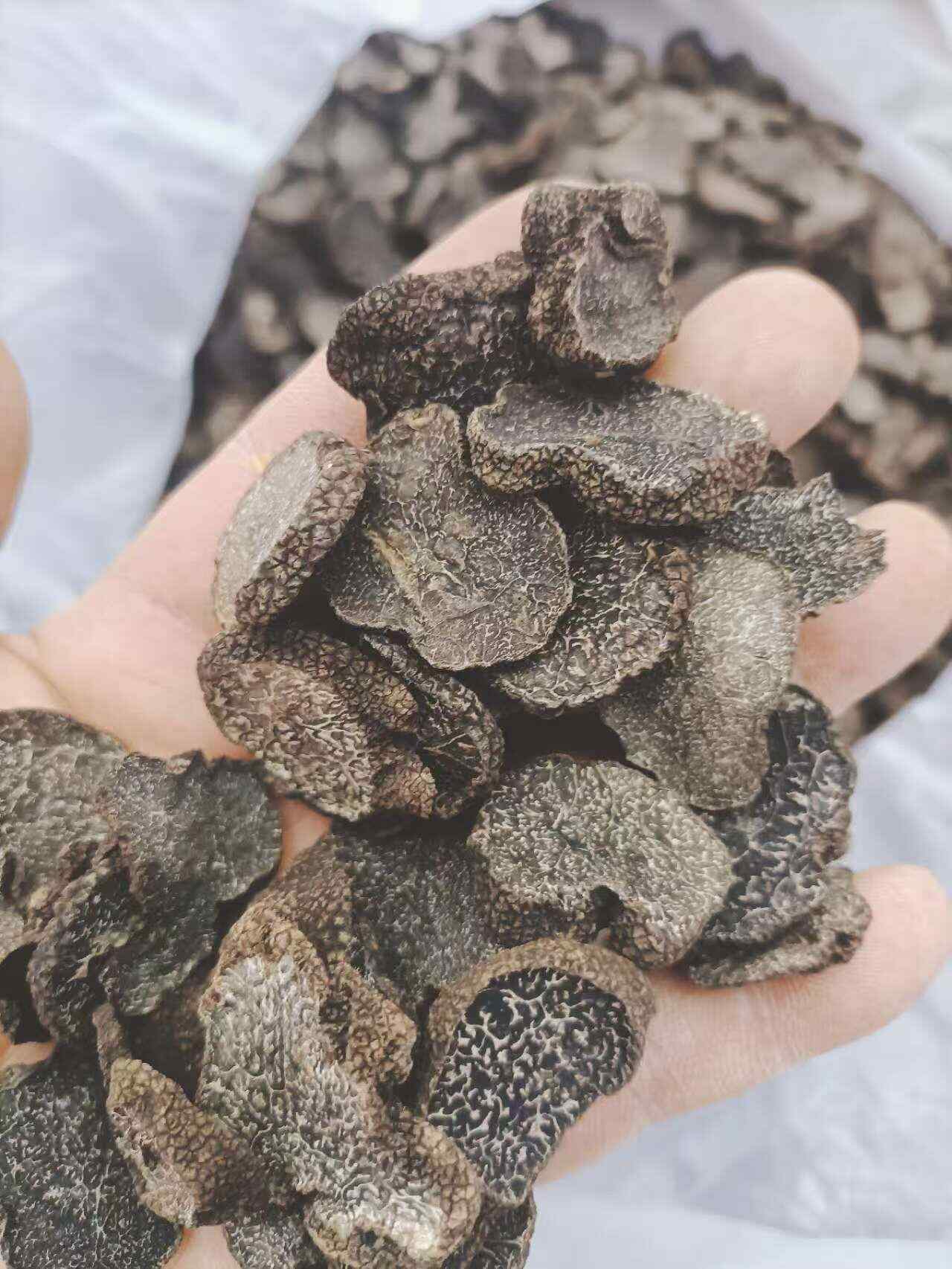 黑松露 黑松露干 黑松露干片 松露