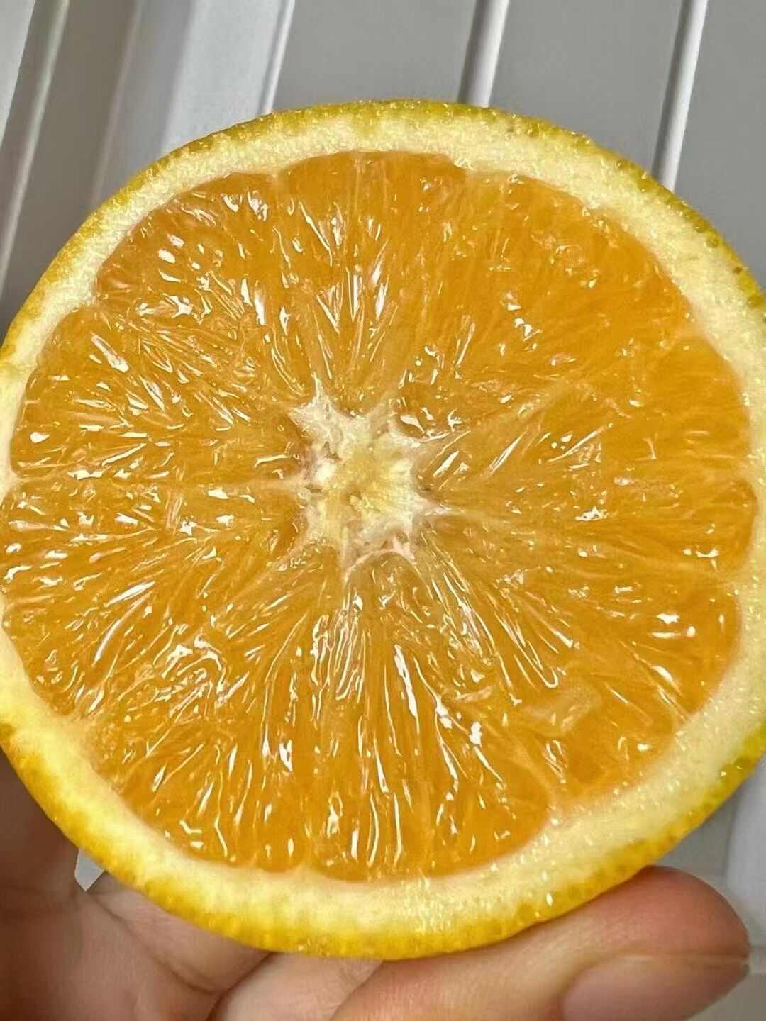 正宗赣南脐橙成熟季，皮薄肉厚，水嫩多汁