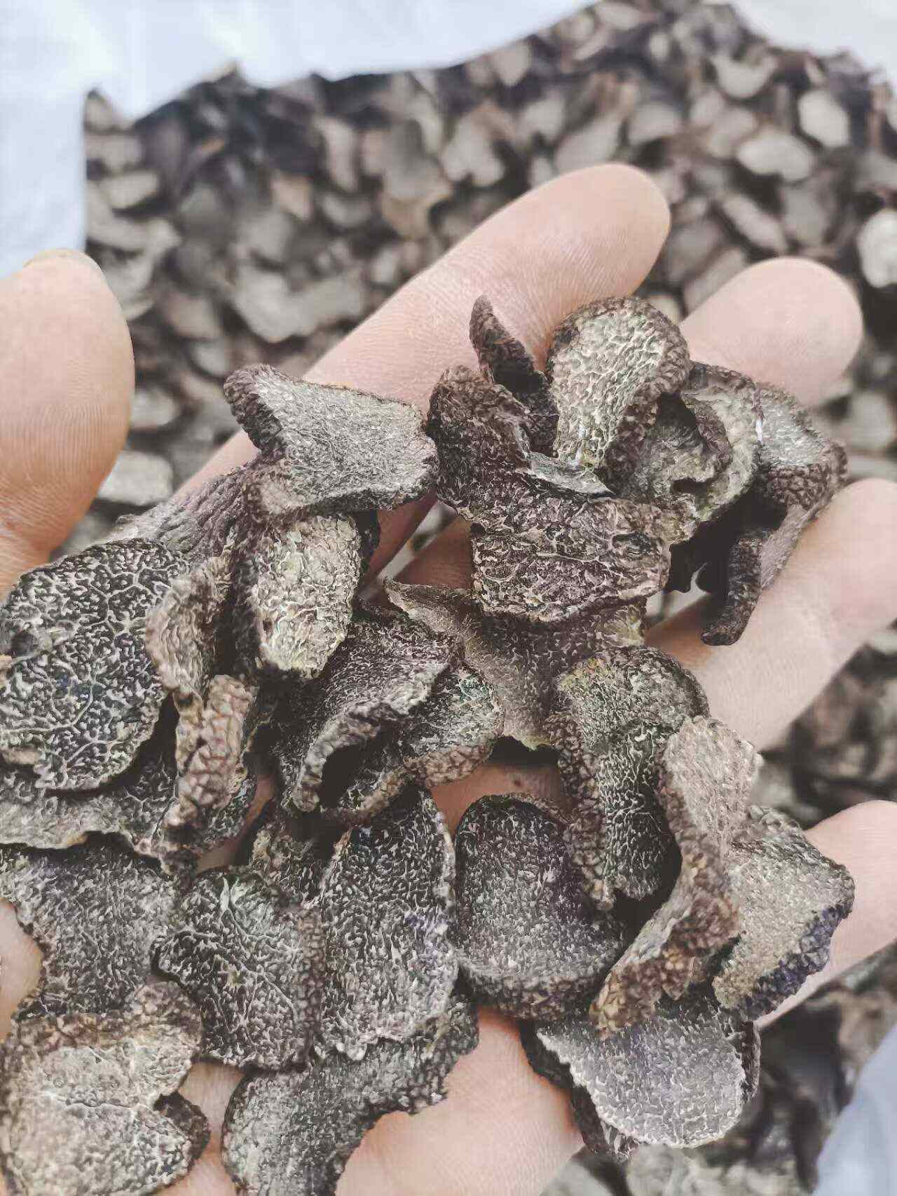 黑松露 黑松露干 黑松露干片 松露