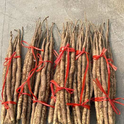 武陟县河南焦作温县铁棍山药 长50-60cm产地直发