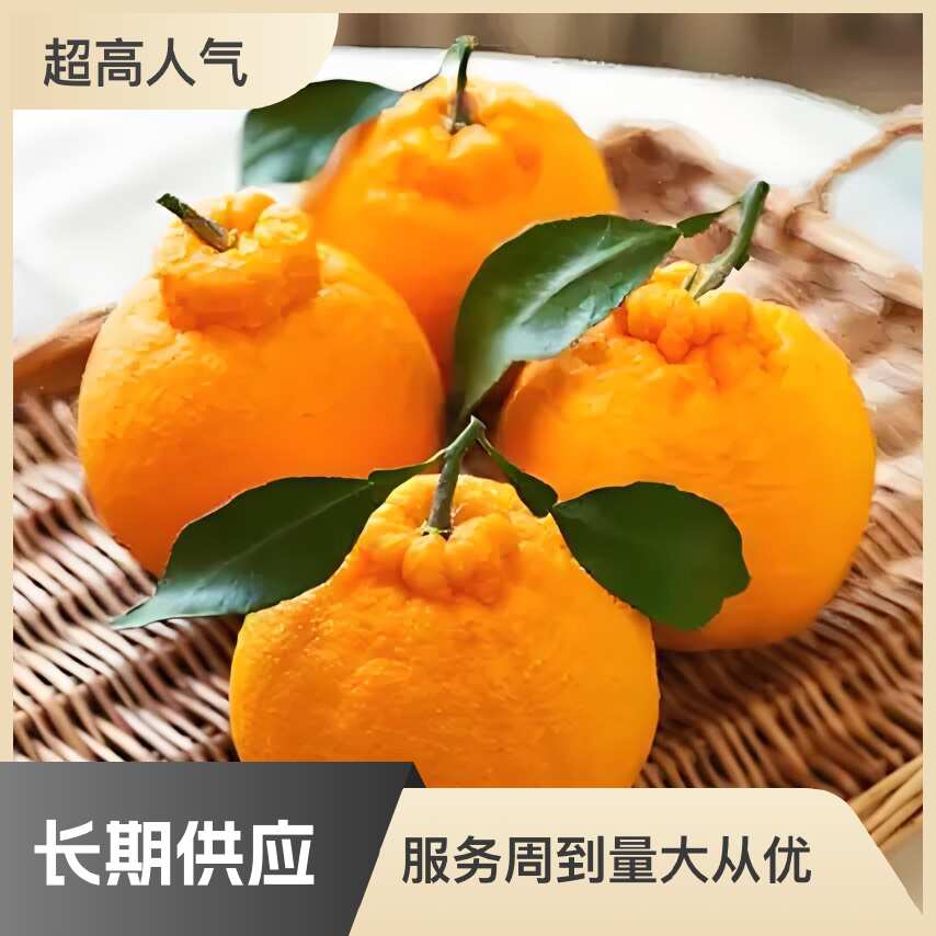 丑八怪丑橘耙耙柑橘子新鲜蜜橘桔子当季时令水果粑粑柑批发不知火