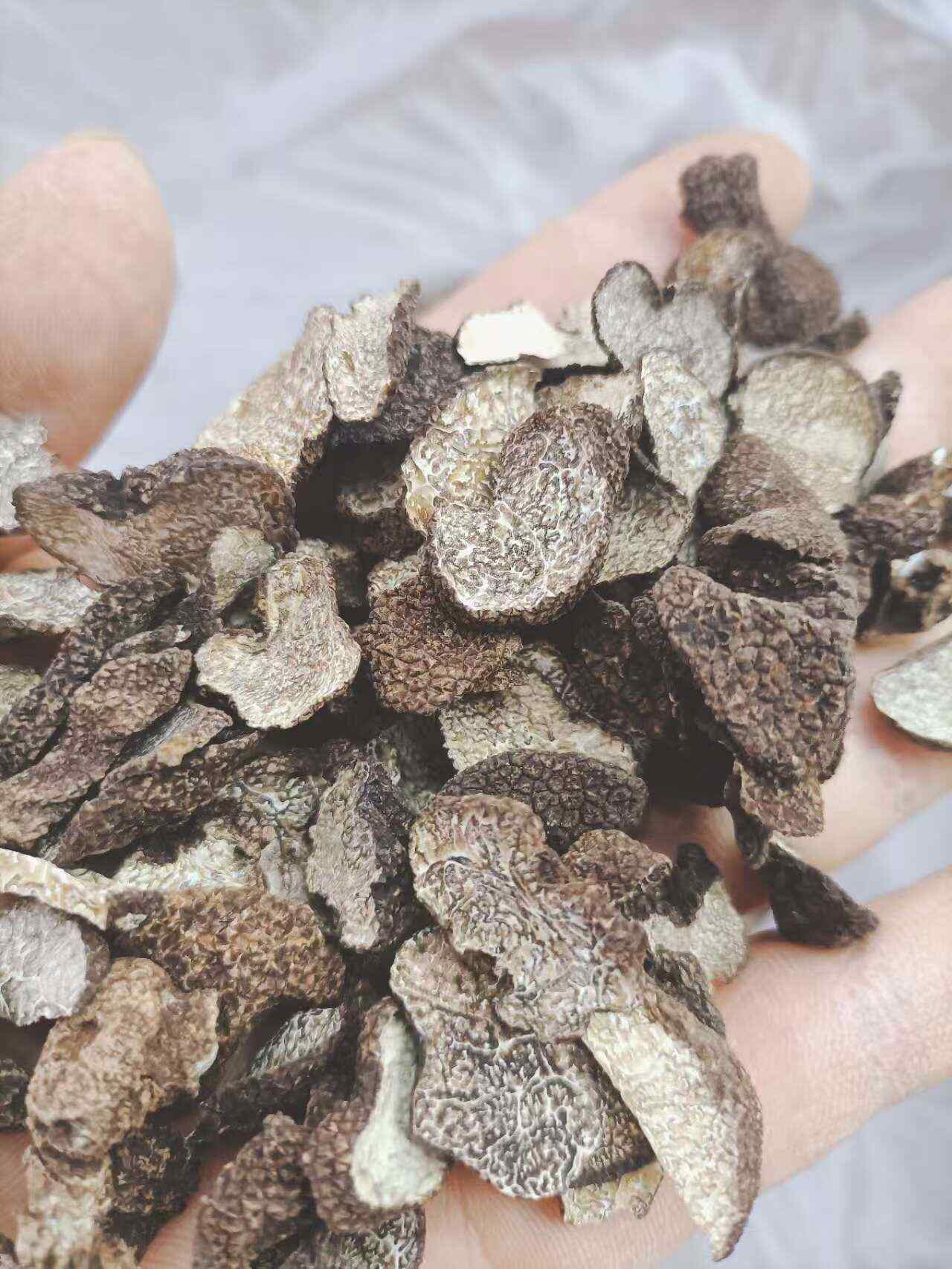 黑松露 黑松露干 黑松露干片 松露