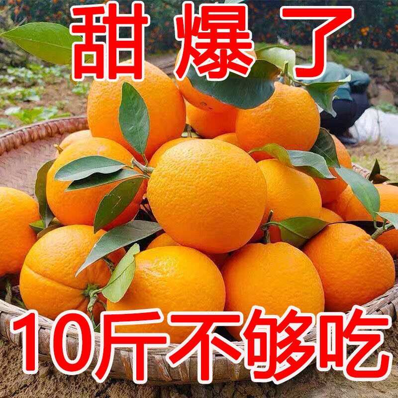 正宗赣南脐橙新鲜橙子当季水果手剥果冻橙子冰糖甜橙大果整箱包邮