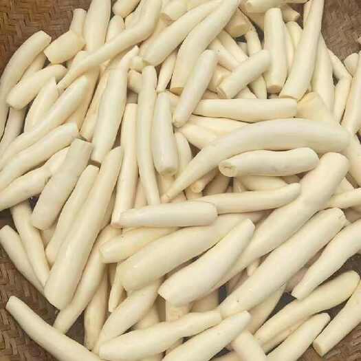 忻城县2025新鲜广西正宗黄肉木薯新鲜蛋黄心面木薯