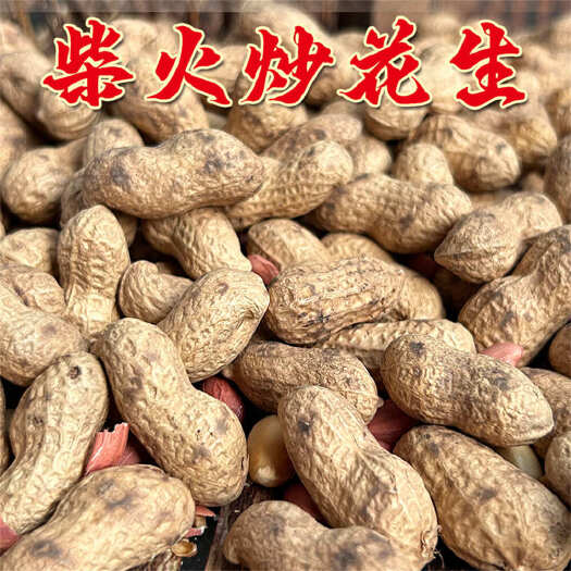沧县柴火炒花生原味花生带壳红皮粒花生铁锅炒无盐零食酒菜茶点柴火