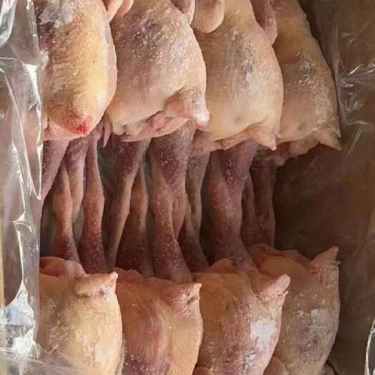 昆山市下蛋老母鸡 8-9-10 只装