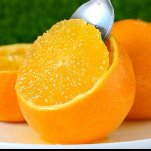 眉山四川眉山爱媛果冻橙