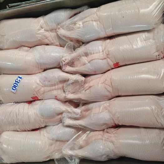 昆山市白条鸭 2.6-3.4 斤