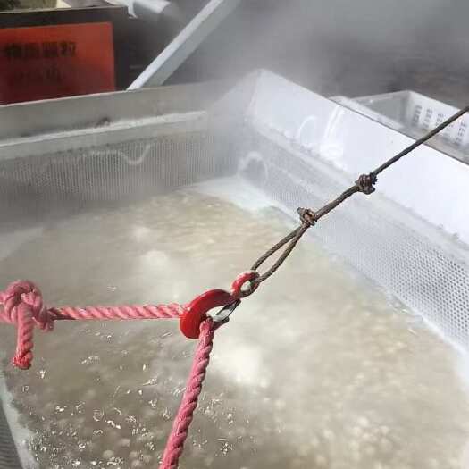 昌黎县干贝厂家直供