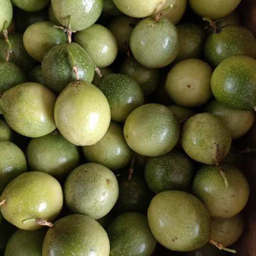 砚山县云南黄金百香果，个大，甜度高！可以供货到26年一月份