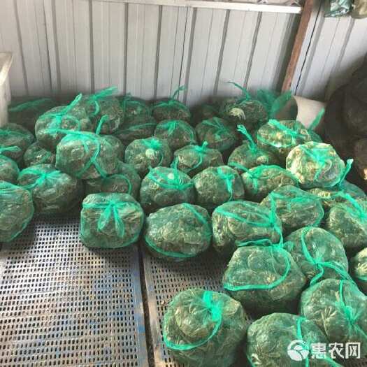 泰兴市江苏泰兴公蟹大闸蟹散装产地直发