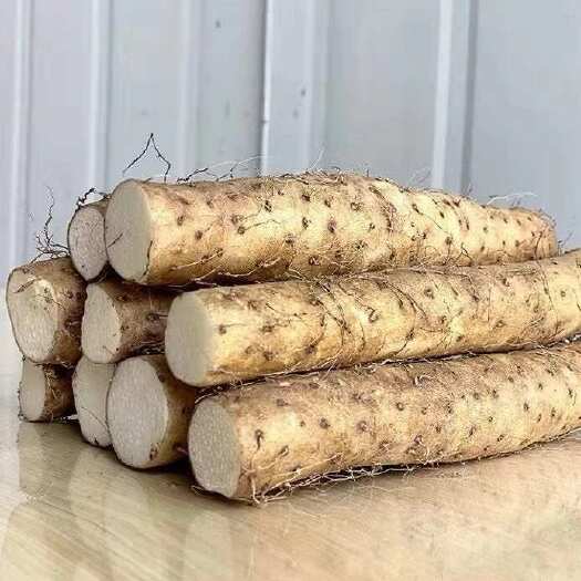 蠡县铁棍山药小白嘴垆土怀山药铁杆山药焦作温县粉糯甜蔬菜批发