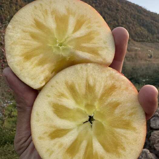 米易县＜一件代发＞四川大凉山高山糖心苹果各渠道平台专业对接