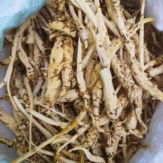 合肥沙参，产地直发，一手货源