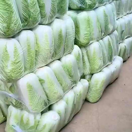 肥城市北京三号，黄心菜