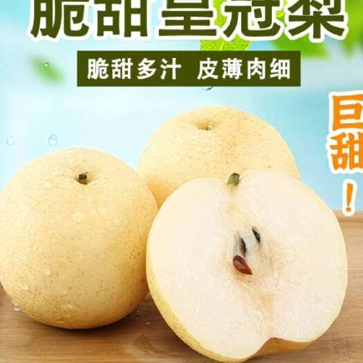 深州市河北深州皇冠梨 新鲜采摘当季水果