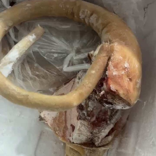 汕头牛尾