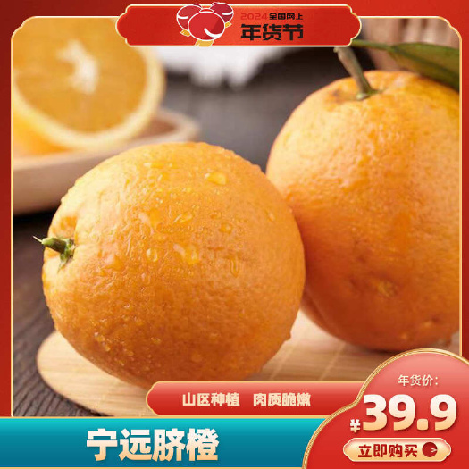 宁远脐橙中果5斤装