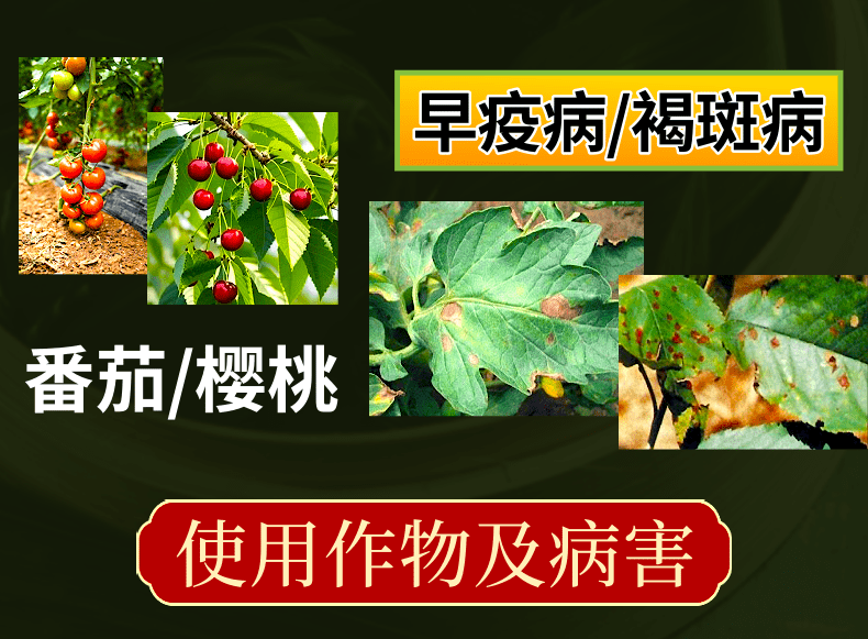 80%代森锰锌防治早疫病褐斑病樱桃番茄正品杀菌剂