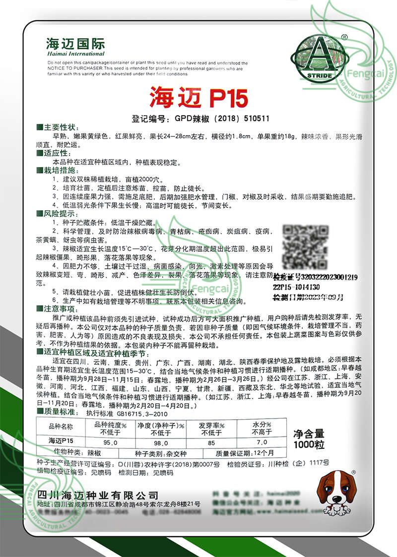 嫩绿型线椒种子 海迈P15杂交种 果长24-28cm