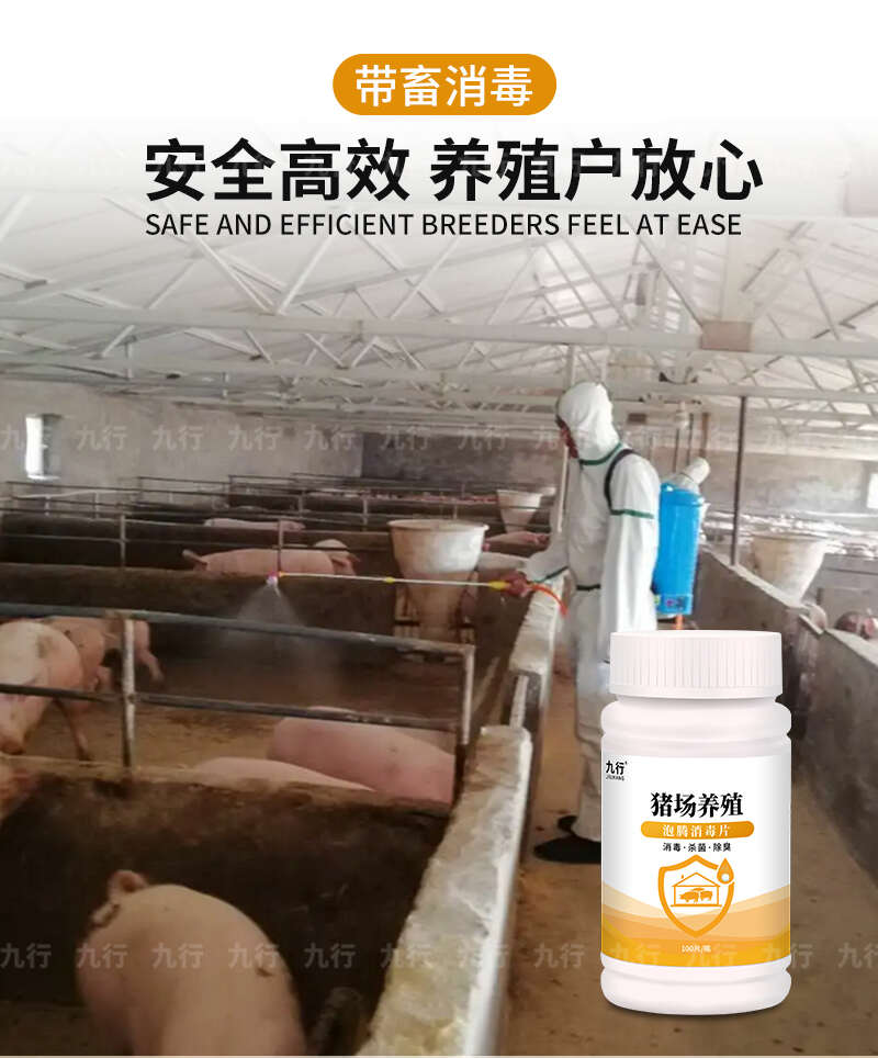 九行 猪圈消毒液猪 猪圈消毒水猪场猪舍猪栏养殖场用杀菌消毒液