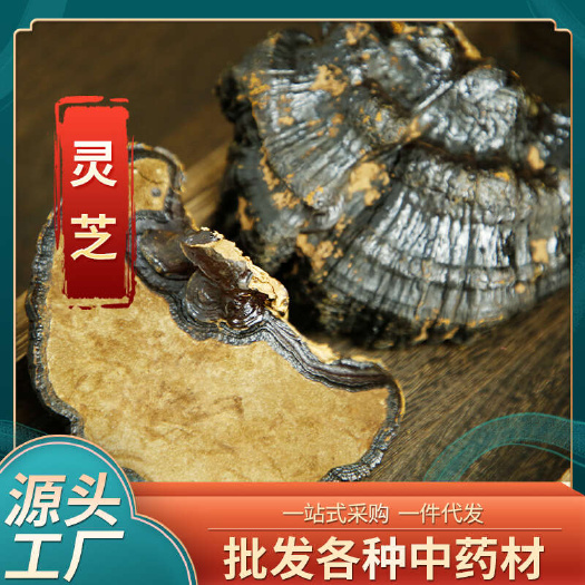 昆明批发中药材灵芝 云南产地直播山货供应干货整枝黑灵芝紫灵芝