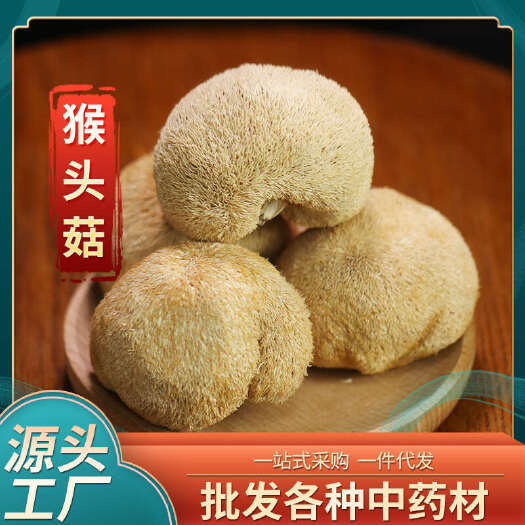 昆明批发猴头菇 云南山珍产地货源新货直播供应散装猴头菇干货食用菌