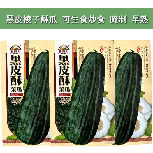 济南黑皮棱子酥种子六棱酥烧瓜脆瓜菜瓜 生吃腌菜凉拌露天大棚水果种