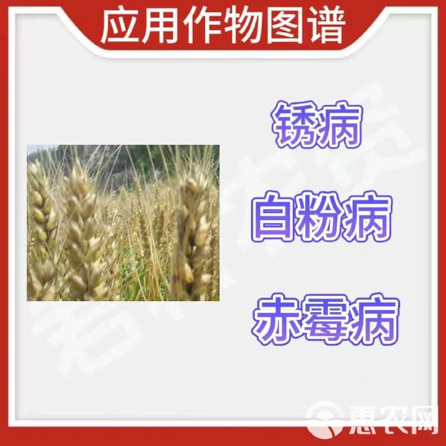 宏帅20+20克丙硫菌唑含腐植酸水溶肥