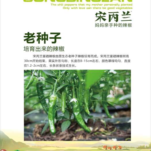 合浦县宋丙兰富硒辣椒