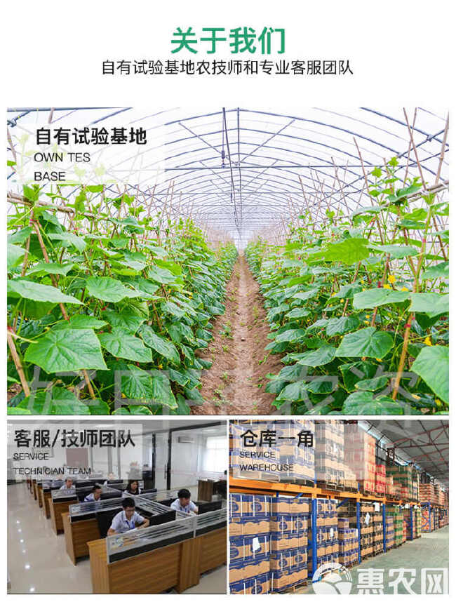 田员外线无忧根结线虫防治线虫抑制虫卵养根护根专用肥料黄腐酸