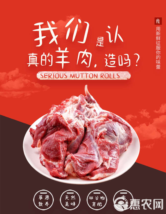 内蒙乌珠穆沁羊 精选内蒙羔羊前腱子肉 工厂直供