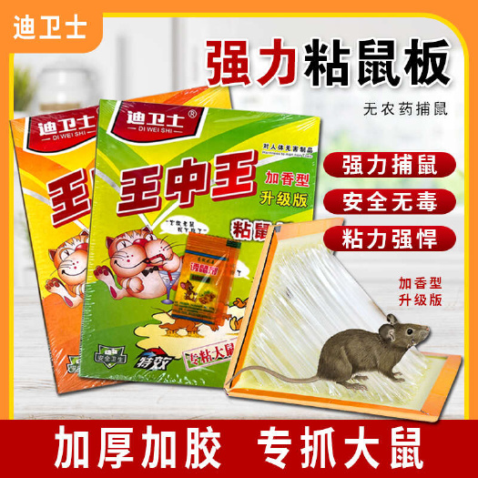 临沂迪卫士王中王粘鼠板强力抓捉沾老鼠贴加大加厚捕老鼠强力胶粘