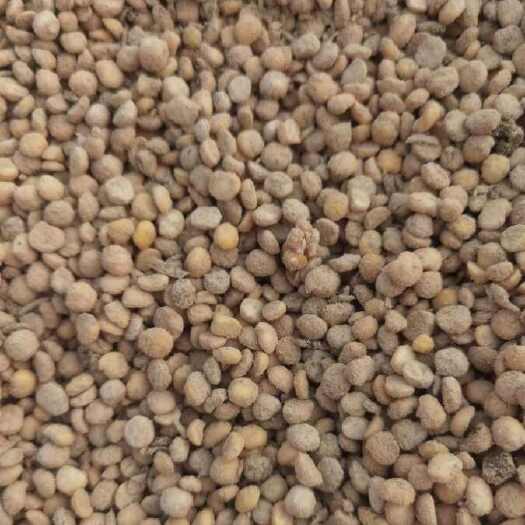 石家庄益生菌腐熟发酵大豆 生根壮苗 果蔬种植用底肥