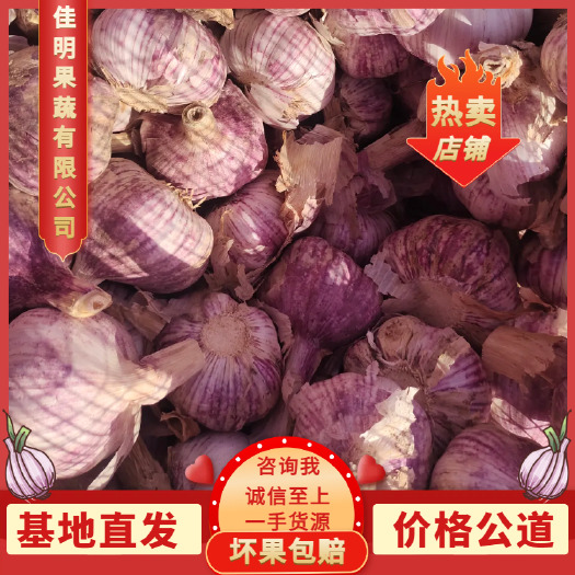 金乡县金乡红皮大蒜质量好，价格低。一吨起批，电商直供。各种规格都有