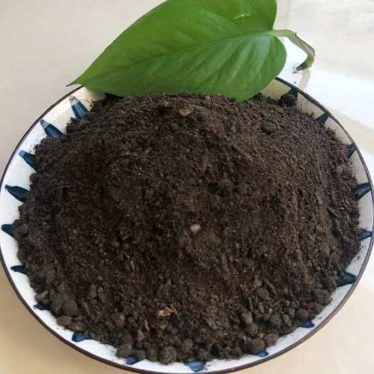 石家庄机羊粪 大量批发樱桃葡萄适用底肥 发酵蚯蚓粪 鸡粪